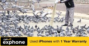 Nakheel Community Management bans public feeding of birds in Dubai: Violators fined 200 dirhams