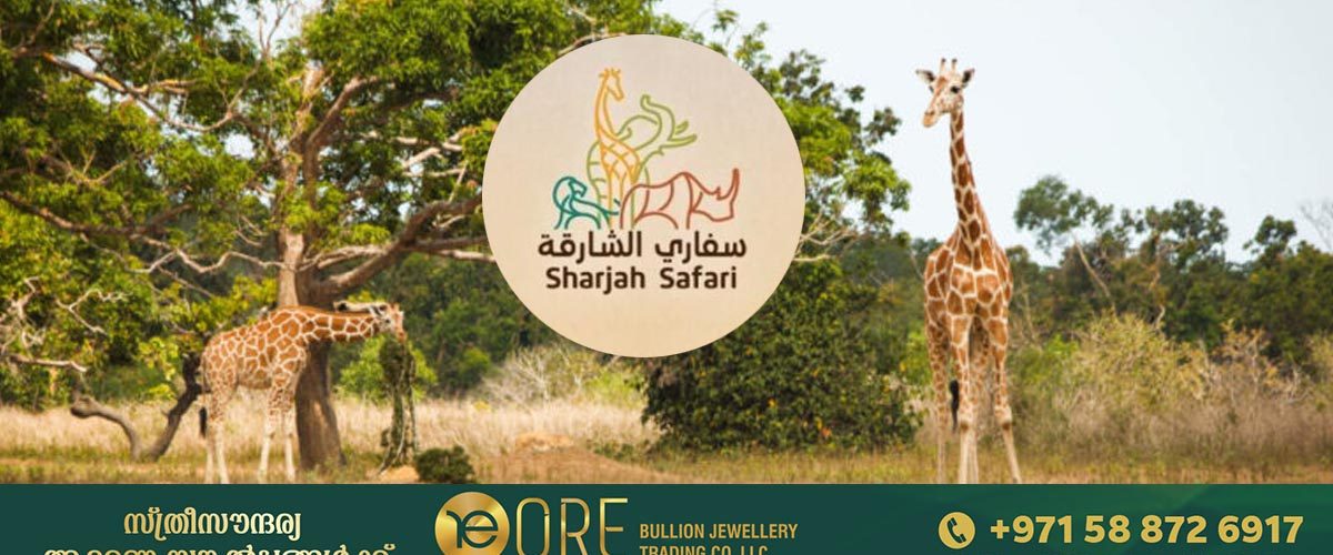 Sharjah Safari to open tomorrow_ticket rates, timings announced