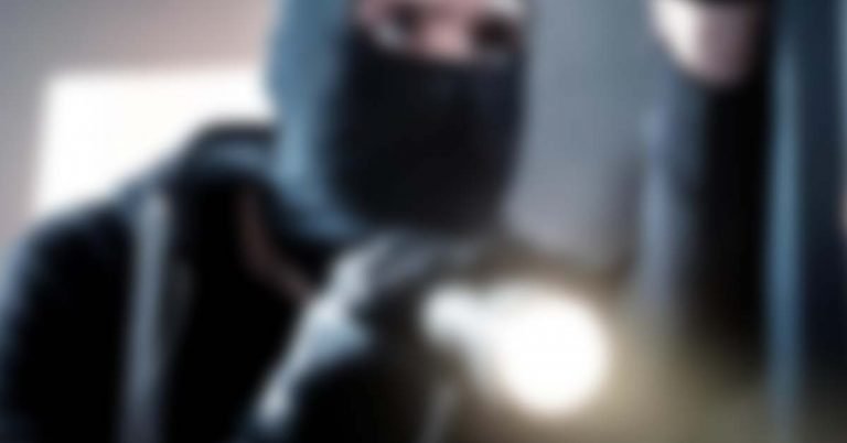 Five jailed for stealing 6 lakh dirhams from car in Dubai