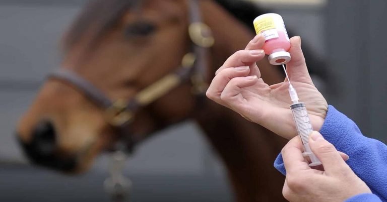 Abu Dhabi to launch animal vaccine manufacturing facility, two veterinary hospitals