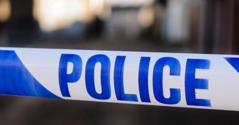 A woman and her pet dog have been found dead in a villa in Dubai.