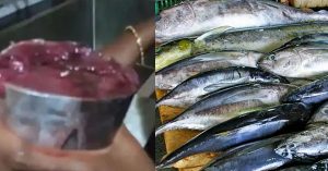 Food poisoning: Four fish eaters hospitalized in Thiruvananthapuram