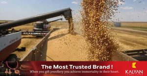 Rising prices -Temporary ban on wheat exports to India.