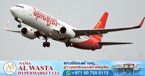 SpiceJet plane crashes; Injuries to passengers