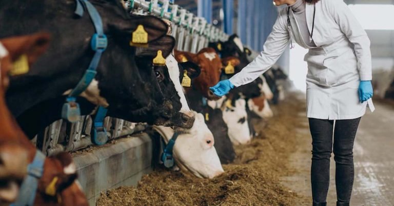 Monkeypox- Abu Dhabi urges livestock farm workers, veterinarians to report suspected cases