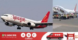 Passengers on a SpiceJet flight were rescued on Sunday after the plane caught fire mid-air.