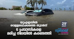 6 expatriates have been found dead due to floods in various places in the UAE