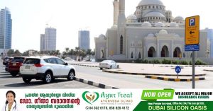 Baliperunnal 2022 - Free parking announced in Sharjah and Ajman.
