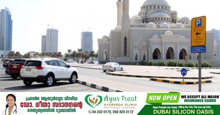 Baliperunnal 2022 - Free parking announced in Sharjah and Ajman.