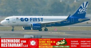 Technical failure: Two Go First flights grounded in India