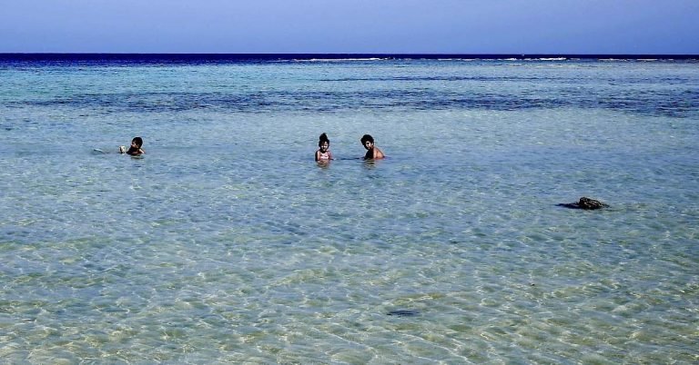 Two women killed in shark attack in Egypt's Red Sea
