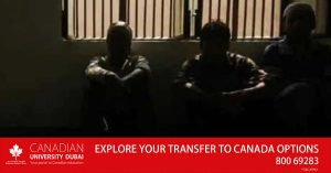 3 Asian expats fined Dh4,000, jailed and deported for defrauding UAE website sales