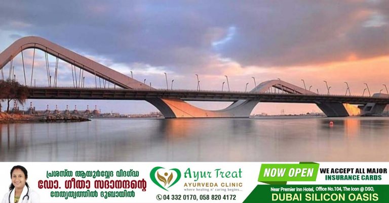 Abu Dhabi police have arrested a group that went viral after performing dangerous bicycle exercises on a bridge.