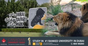 Dubai Safari Park opens today- 9 new experiences that help you get closer to the animals