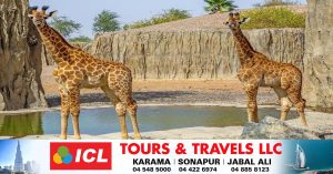 New season with 50,000 animals - Sharjah Safari Park reopens on September 21.