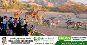 UAE- Free entry to popular attraction announced for Saudi National Day