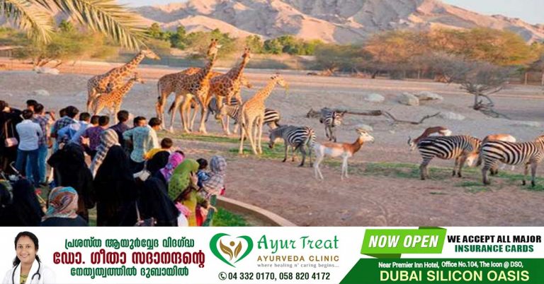 UAE- Free entry to popular attraction announced for Saudi National Day