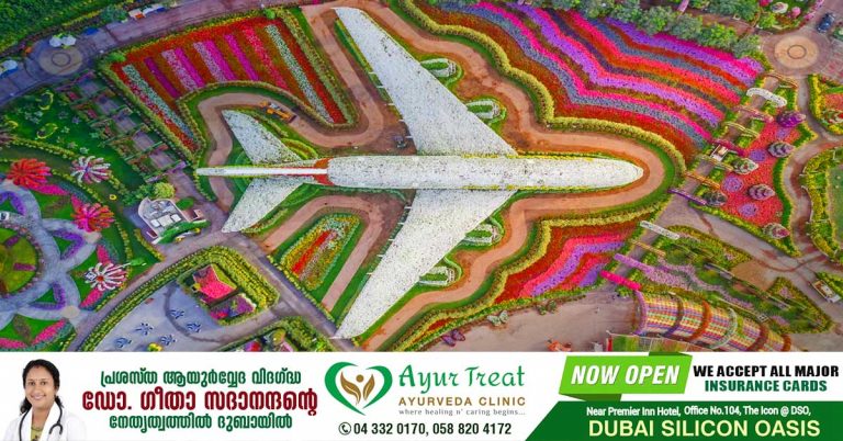 The Dubai Miracle Garden reopens for its 11th season on October 10.