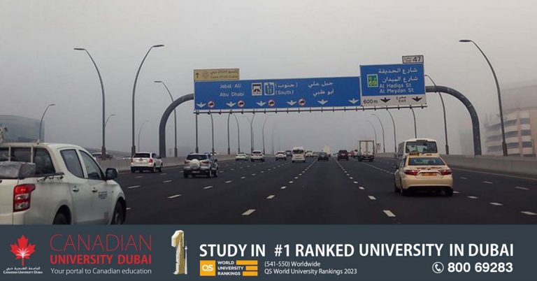 Fog in UAE: Red and yellow alerts issued due to reduced visibility