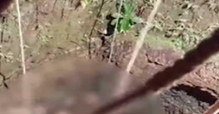 A student who had gone to watch the Argentina-Australia World Cup match in Malappuram was found dead in a well