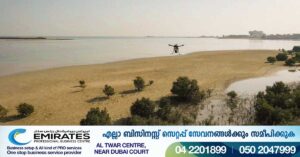 Drones sow 1 million mangrove seeds in Al Dhafra region of Abu Dhabi