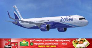 Technical fault: The IndiGo flight to Phuket made an emergency return to Delhi.