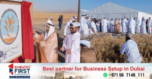 Sharjah Ruler witnesses the first harvest of the UAE's largest wheat farm