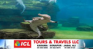 Dubai Crocodile Park will open on April 18
