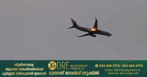 Engine catches fire after bird strike- plane makes emergency landing