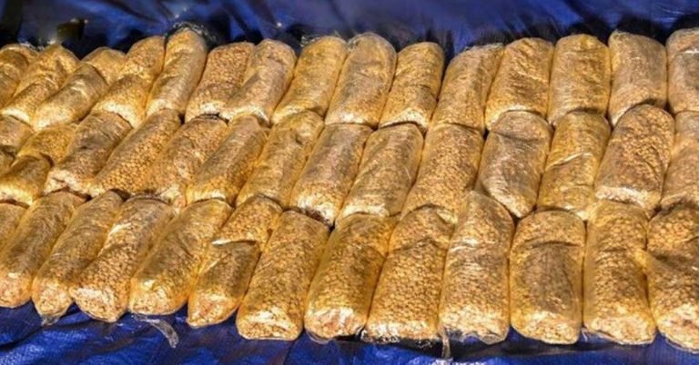 Huge drug bust in Sharjah: 24 people arrested