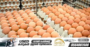 Violation of egg, poultry price hike rules in UAE fines up to Dh2 lakh