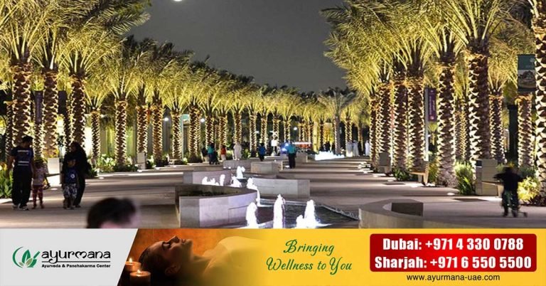 A further 113 new parks will open in Abu Dhabi by the end of 2023
