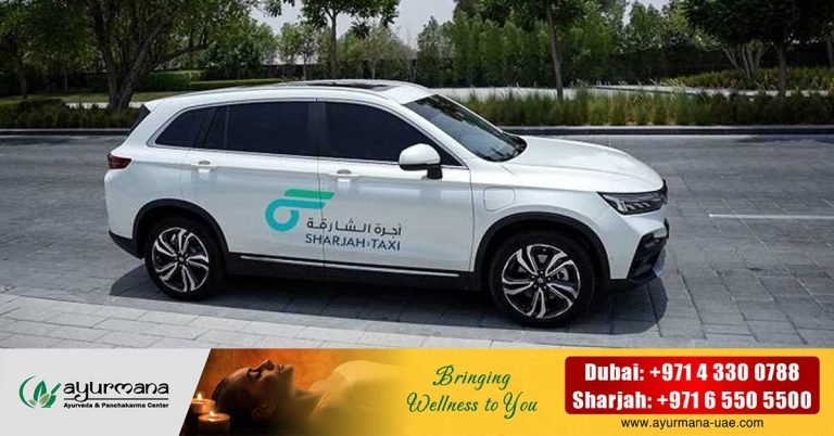 Sharjah Taxi has started testing Chinese Skywell electric vehicles.