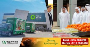 Bloom Market, the largest air-conditioned fruit and vegetable market, has opened in Dubai.