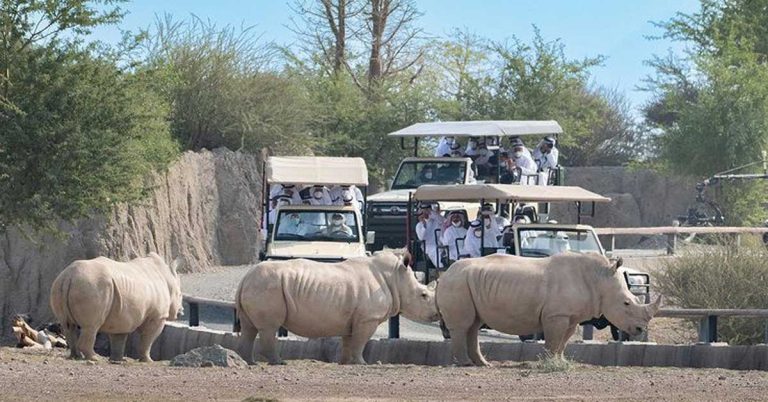 Sharjah Safari Park will open tomorrow with many new sights