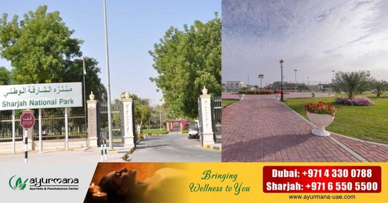 National Day Preparations- Sharjah National Park will be closed from November 6 to 27