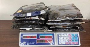 10 kg of drugs were seized from the bag in the container which arrived at Sharjah Khalid Port.