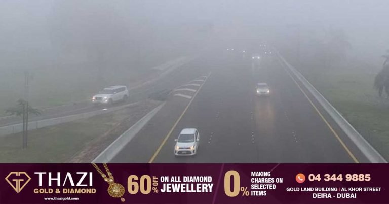 Heavy fog in Abu Dhabi- Speed ​​limit reduced on some roads