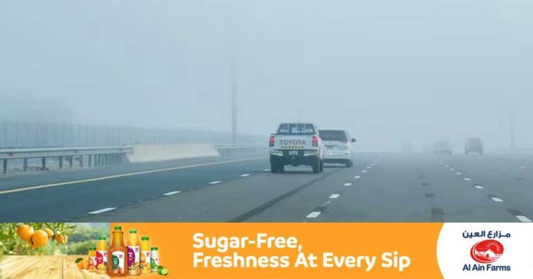 Red and yellow alerts due to fog in parts of UAE : Speed ​​limit reduced on some roads