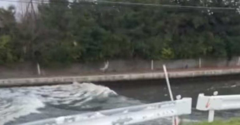 Tsunamis hit Japan after a powerful earthquake