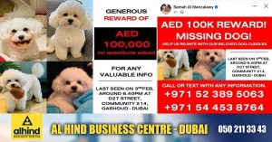 Dh1 lakh reward for the safe return of a missing puppy in Dubai