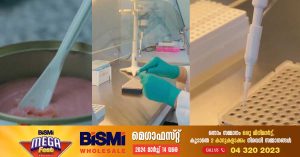 Dubai Central Laboratory developed Sanketi Kavidya to detect the presence of pork in processed meat products.