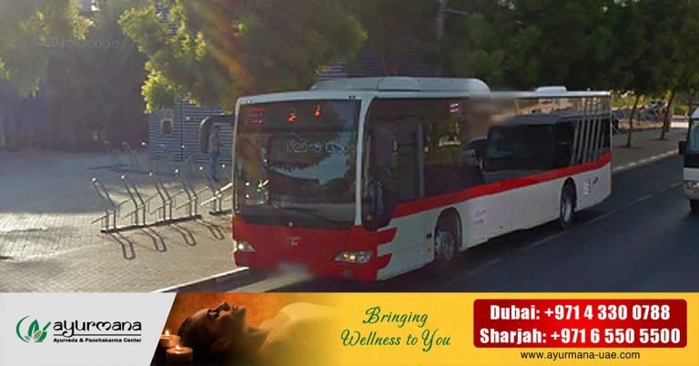 Adverse weather- Dubai-Sharjah intercity bus service temporarily suspended