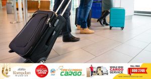Dubai Customs seizes magical items like snake, monkey's hand, dead bird, eggs in passenger's luggage