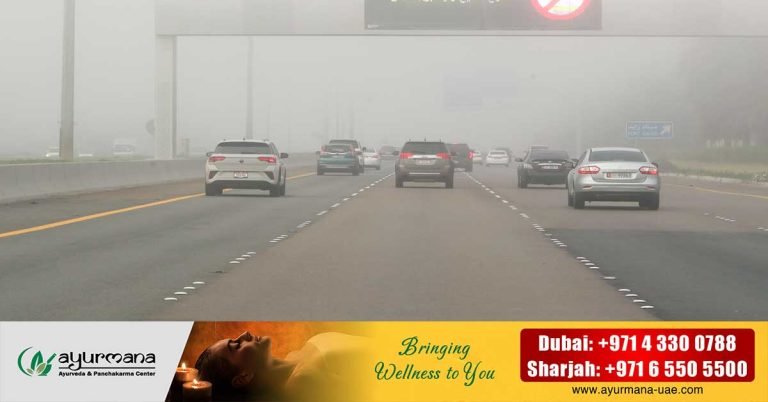 Speed ​​limit reduced on some roads in Abu Dhabi due to heavy fog