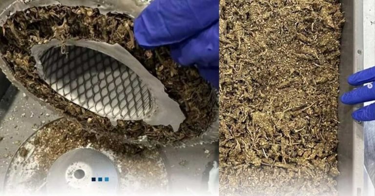 4.25 kg of cannabis inside car engine air filter in luggage- African woman arrested at Dubai airport