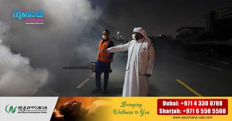 409 places where dengue-carrying mosquitoes were found have been removed in the UAE.