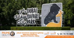 Dubai Safari Park will be open again this year- only accepting small groups.