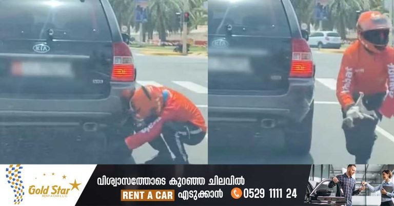 A delivery boy rescued a kitten trapped under a vehicle in Abu Dhabi