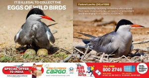 A fine of up to Dh20,000 and imprisonment for collecting wild bird eggs in the UAE